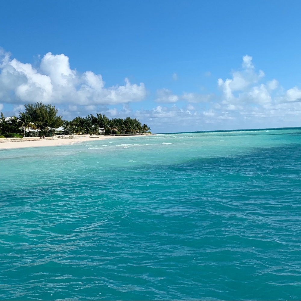 Meet your Posher, Julia